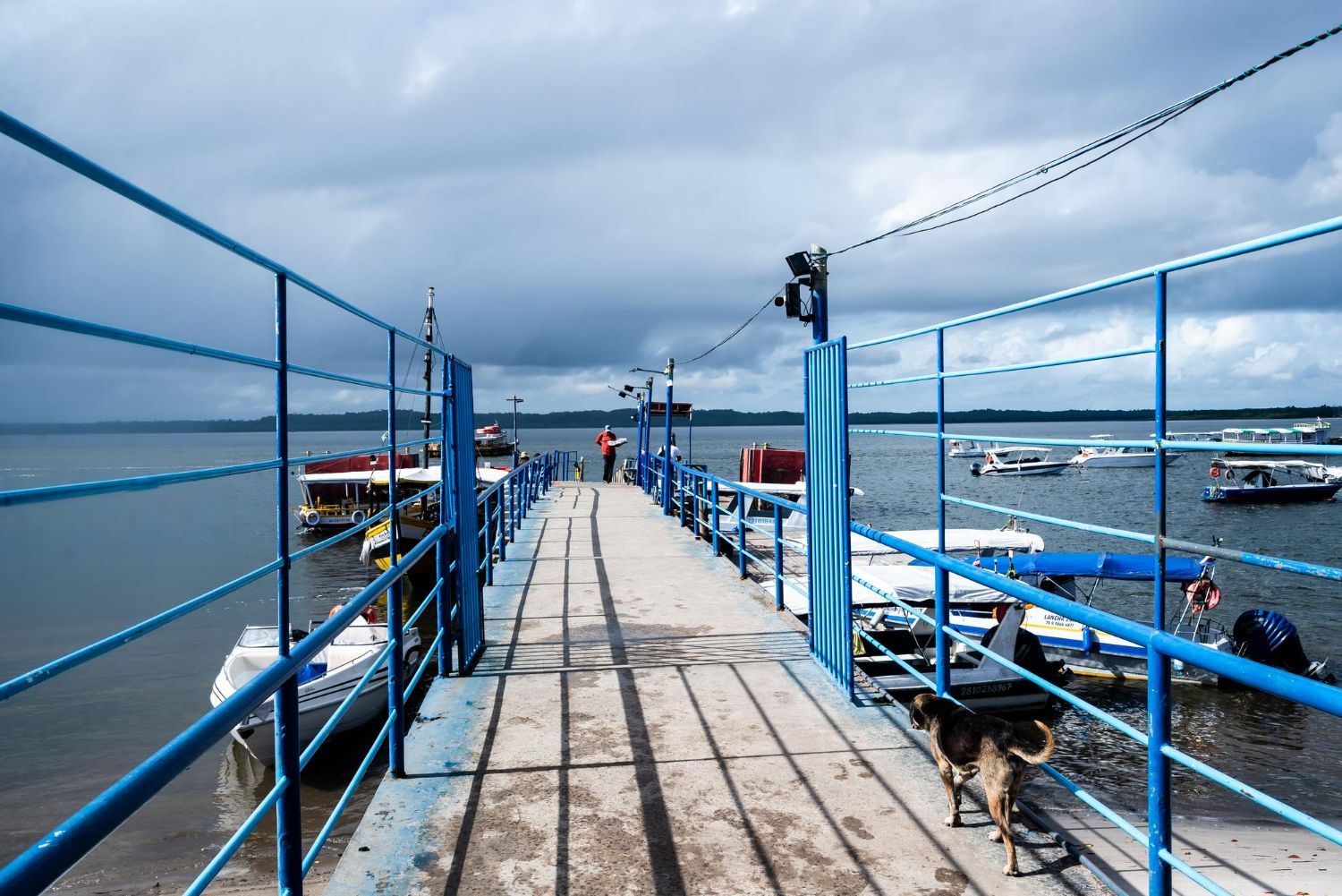 Custom-built waterfront dock constructed by South Florida Dock & Seawall